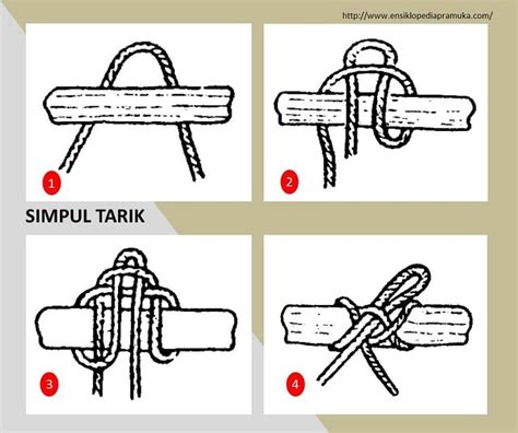 Macam Macam Simpul Pramuka Dilengkapi Fungsi & Gambarnya