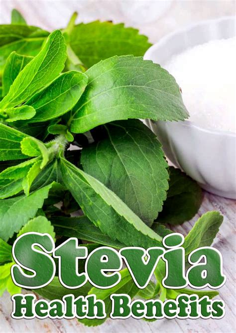 Stevia Health Benefits and Facts