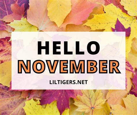 100 Inspirational Hello November Quotes, Sayings & Wishes 2022