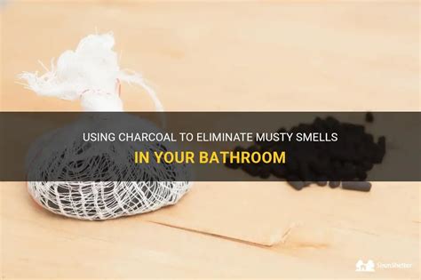 Using Charcoal To Eliminate Musty Smells In Your Bathroom | ShunShelter