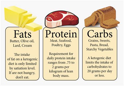 Types Of Food Fat Carbohydrates, HD Png Download , Transparent Png ...