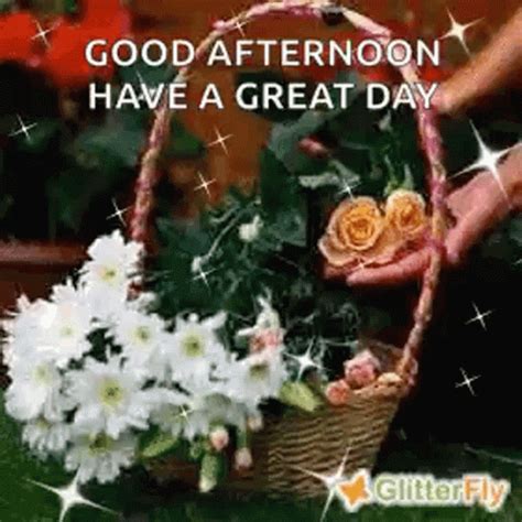 Good Afternoon Have A Great Day GIF - Good Afternoon Have A Great Day ...