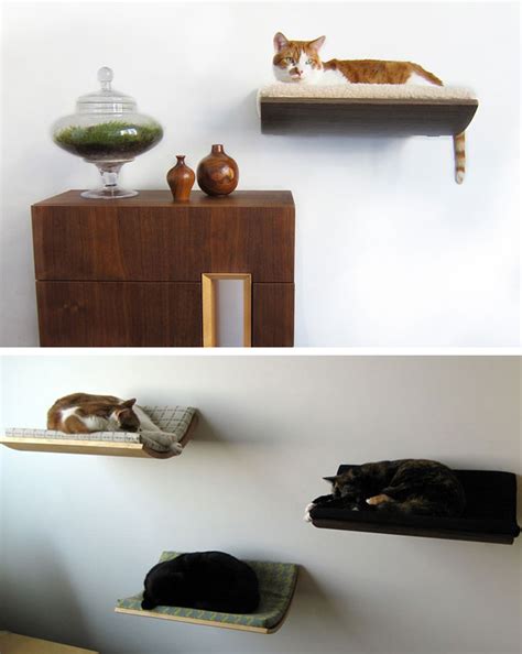 wall-cat-beds | HomeMydesign