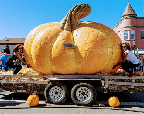 Half Moon Bay Pumpkin Festival 2024 in San Francisco - Rove.me