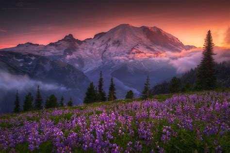 http://exposurescape.com/wp-content/uploads/2014/04/washington-rainier ...