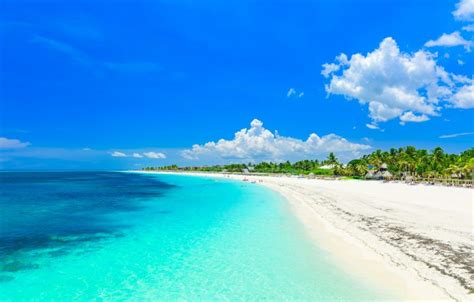 Nature Tour Isla Paraiso Varadero - EcoCuba Pro - Discover cuba beaches