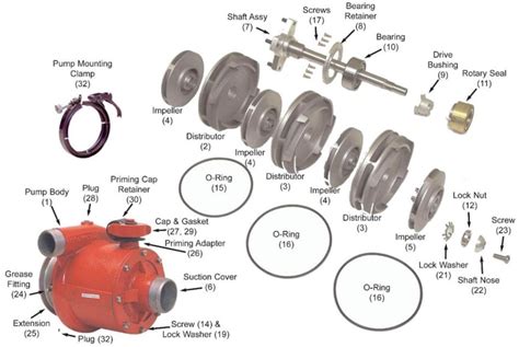 hale pump parts diagram - FrazierSaafin