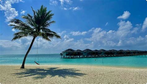 Exotic beaches in the Maldives