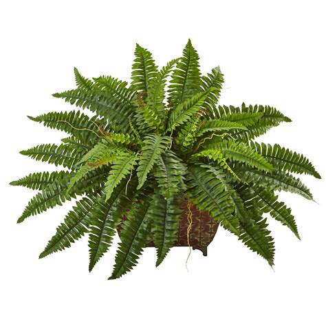 Boston Fern in Metallic Planter | Nearly Natural