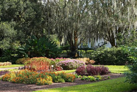 leu-gardens-orlando | CuddlyNest Travel Blog