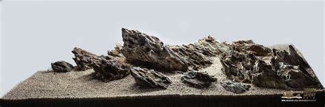 Dragon Stone Aquascape | Aquascape, Hardscape, Aquascape design