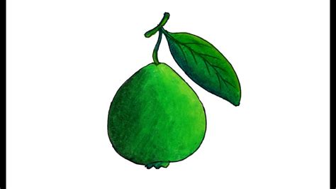 The best free Guava drawing images. Download from 49 free drawings of ...