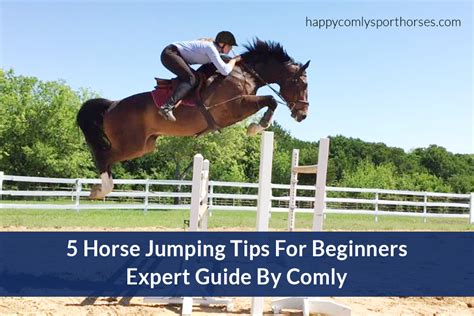 5 Horse Jumping Tips For Beginners: Expert Guide By Comly