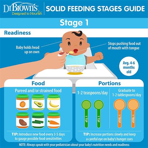 Solid Feeding Stages Guide for Babies | Dr. Brown's Baby