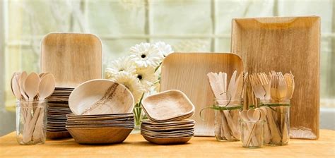 The Suggested Types of Eco-Friendly Disposable Plates