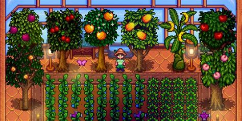 What is Stardew Valley's Best Greenhouse Layout?