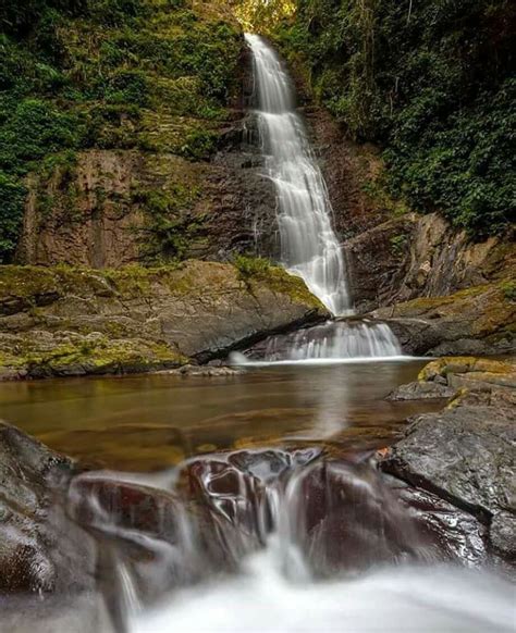 Pin by shirley ayala on Puerto Rico Soy Boricua | Puerto rico, Maricao ...