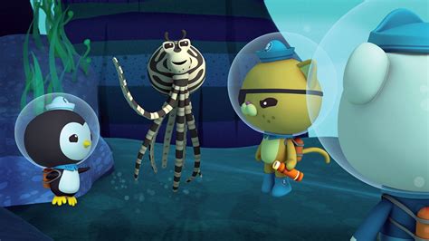 BBC iPlayer - Octonauts - Series 2: 16. Mimic Octopus