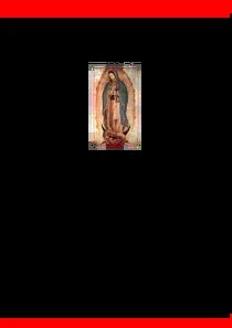 Download Our Lady Of Guadalupe Novena PDF | OiiDocs.com