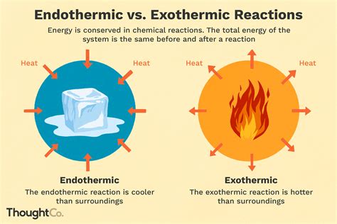 Endothermic And Exothermic Reaction Graph