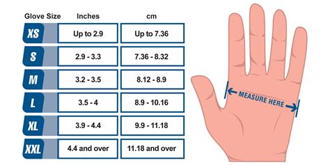 Glove Size Chart | AMMEX