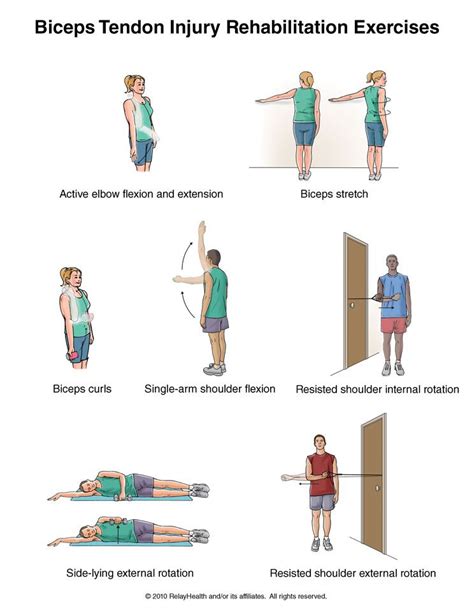 Biceps Tendon Injury Exercises Summit Medical Group. Written by Tammy ...