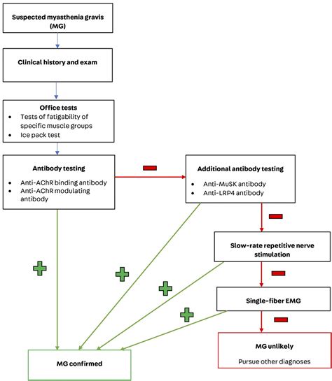 Diagnosis and Management of Myasthenia Gravis : CONTINUUM: Lifelong ...