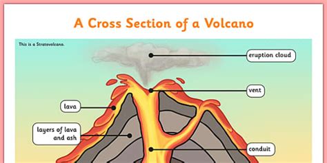 Volcano Cross Section Display Poster - volcano, KS2, cross section