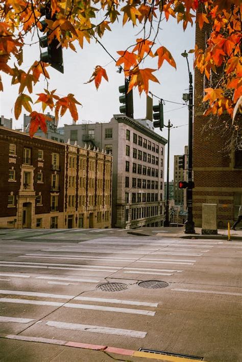 City Street in Autumn · Free Stock Photo