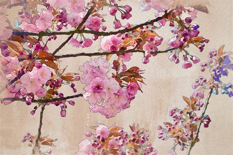 25+ Cherry Blossom Watercolor Inspirations to Dream About ...