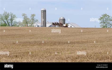 Amish People High Resolution Stock Photography and Images - Alamy