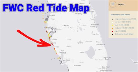 How To Use The FWC Red Tide Map (And Where Not To Target Fish)