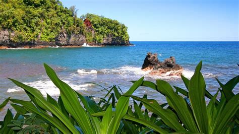 Scenic Hamakua Coast Private Tour with Hike to Akaka Falls