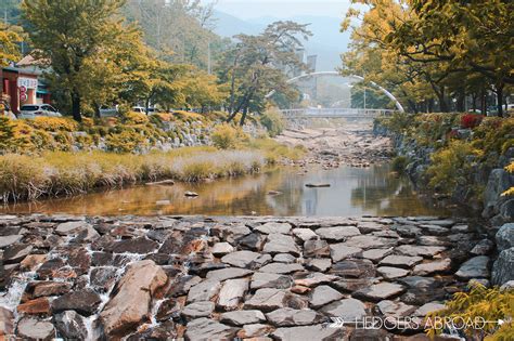 Summer Getaway at the Anyang Art Park - Hedgers Abroad