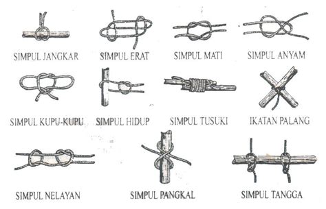 Perbedaan Tali, Simpul dan Ikatan dalam Pramuka