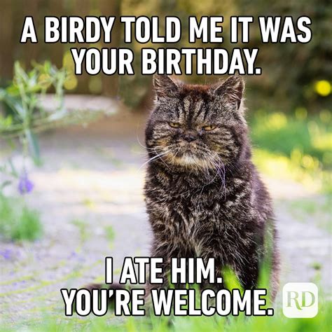 40 of the Funniest Happy Birthday Memes | Reader's Digest