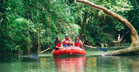 The BEST Puerto Viejo de Sarapiqui, Costa Rica Tours and Things to Do ...