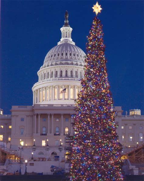 1001Archives: Famous Christmas Trees Around the World