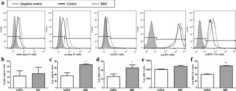 Quantification by flow cytometry of total caspase 3, activated caspase ...