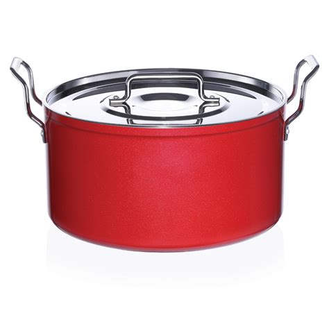 Buy Premier Non Stick Dum Biryani Pot With Stainless Steel Lid 13 Litre ...