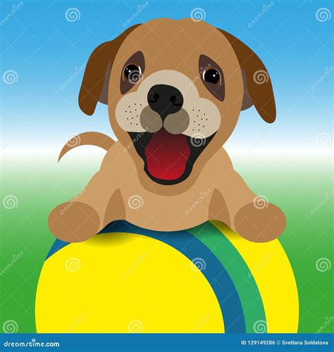 Vector Illustration a Dog with a Ball Stock Vector - Illustration of ...