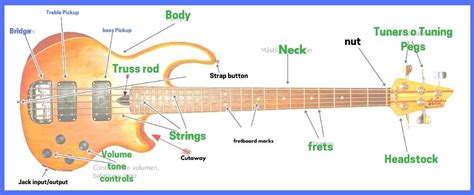 Electric Bass Guitar Parts Bass Guitar Lessons