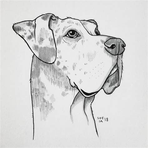 Black and White Ink Animal Drawings | Dog drawing, Dog sketch, Animal ...