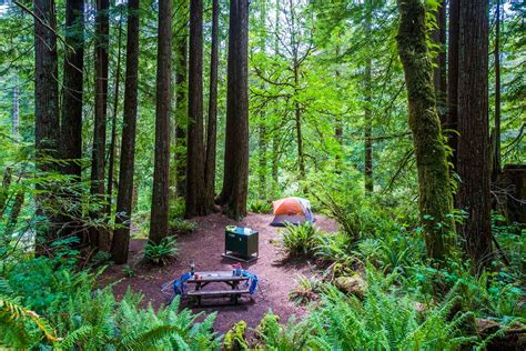 Campsites In Redwood National Park | Kids Matttroy