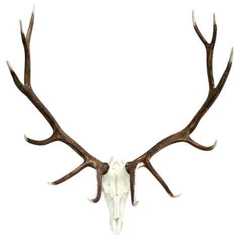 Elk European Mount | Cast Horn Designs