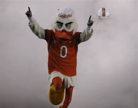 Sebastian the Ibis - University of Miami. | Animal Mascot and Costumes