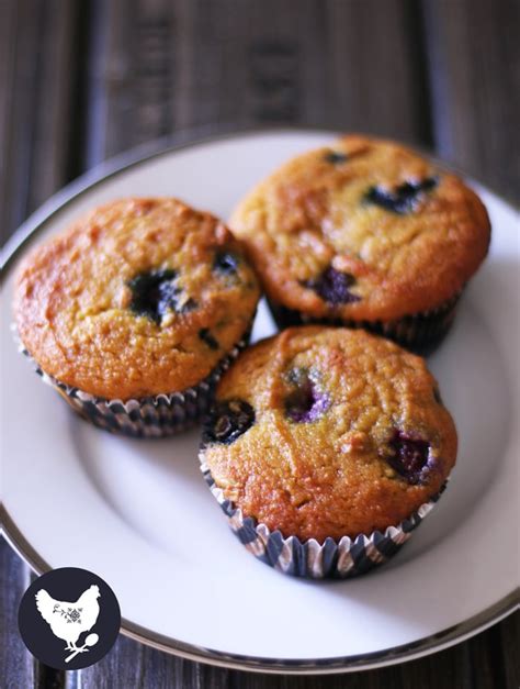 Paleo Blueberry Muffins - Cosmopolitan Cornbread