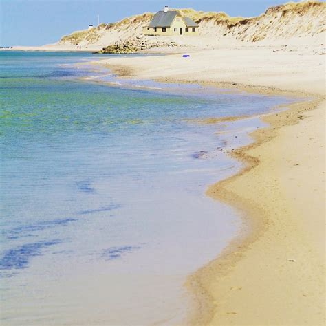 Skagen Beach, Denmark | Beautiful beaches, Beach, Outdoor