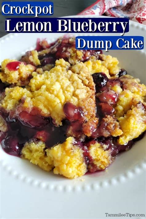 Crockpot Lemon Blueberry Dump Cake Recipe {Video} - Tammilee Tips