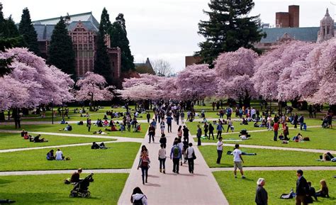 University of Washington-Seattle Campus - Seattle, WA